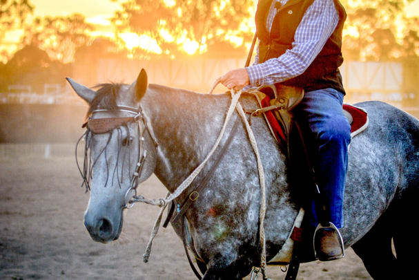 Trangie District Campdraft